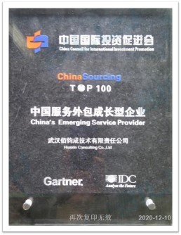 Top100中国服务外包成长型企业