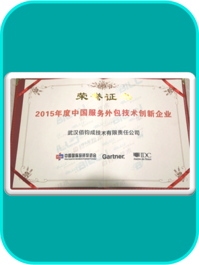2015年度中国服务外包技术创新企业