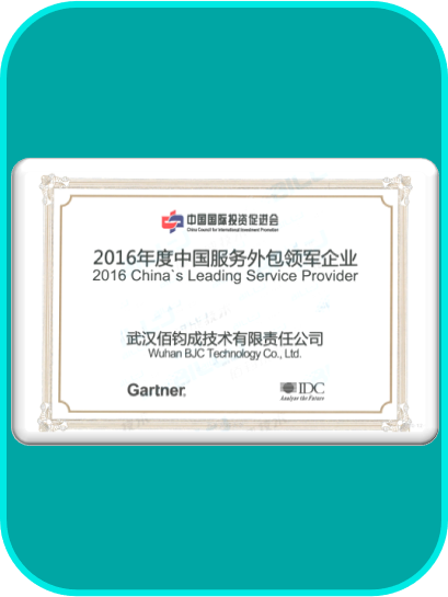 2016年度中国服务外包领军企业