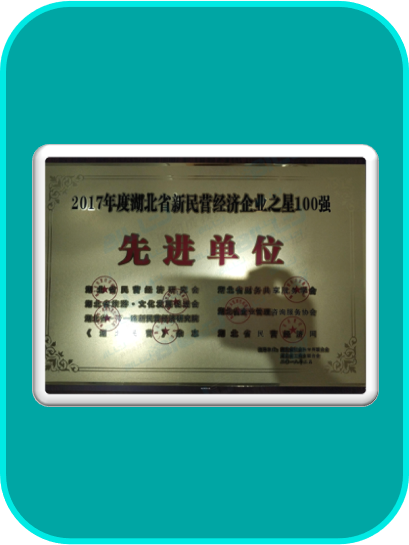 2017年度湖北省新民营经济企业之星100强