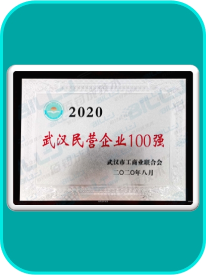 2020武汉民营企业100强